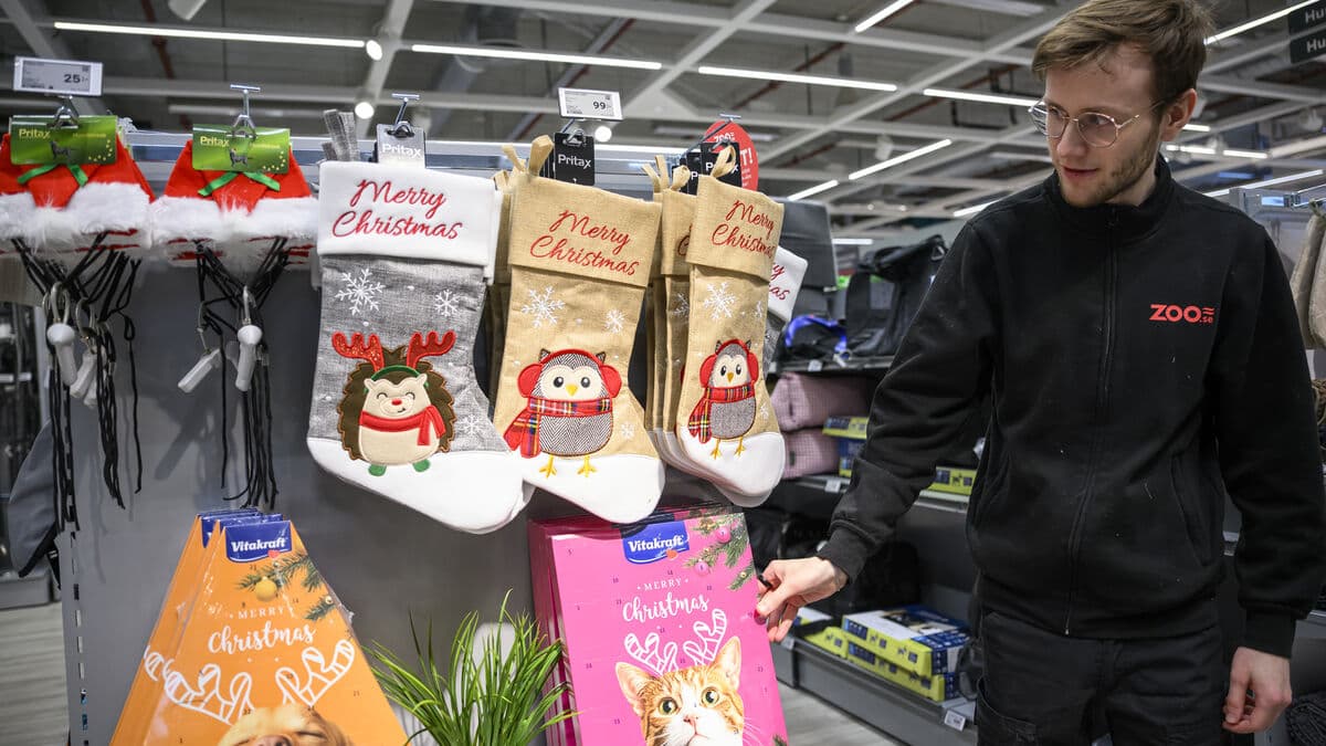 Puzzles and catnip on the animals' Christmas Eve