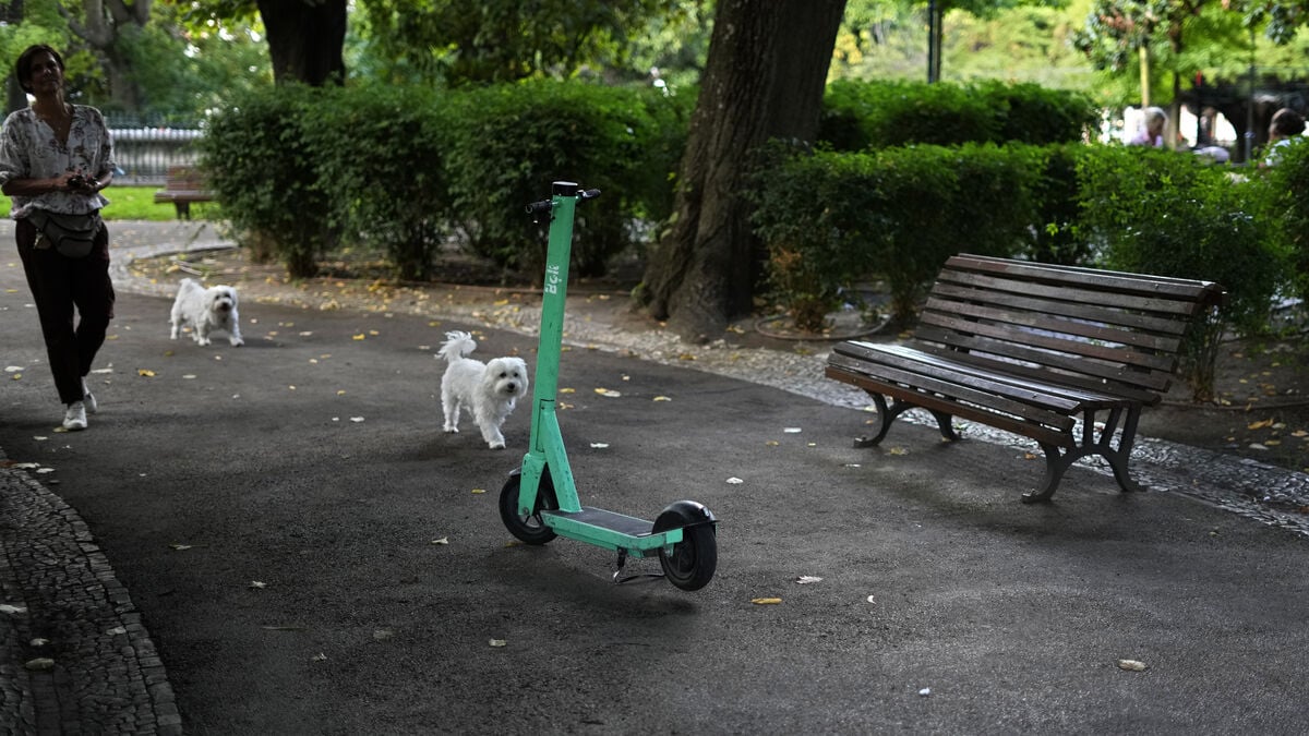 Lisbon to End Shared Electric Scooter System After Safety and Parking Problems