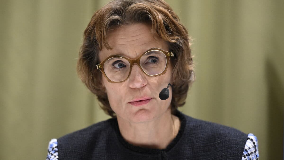 EU Simplifies Rainforest Rules Amid Environmental Criticism