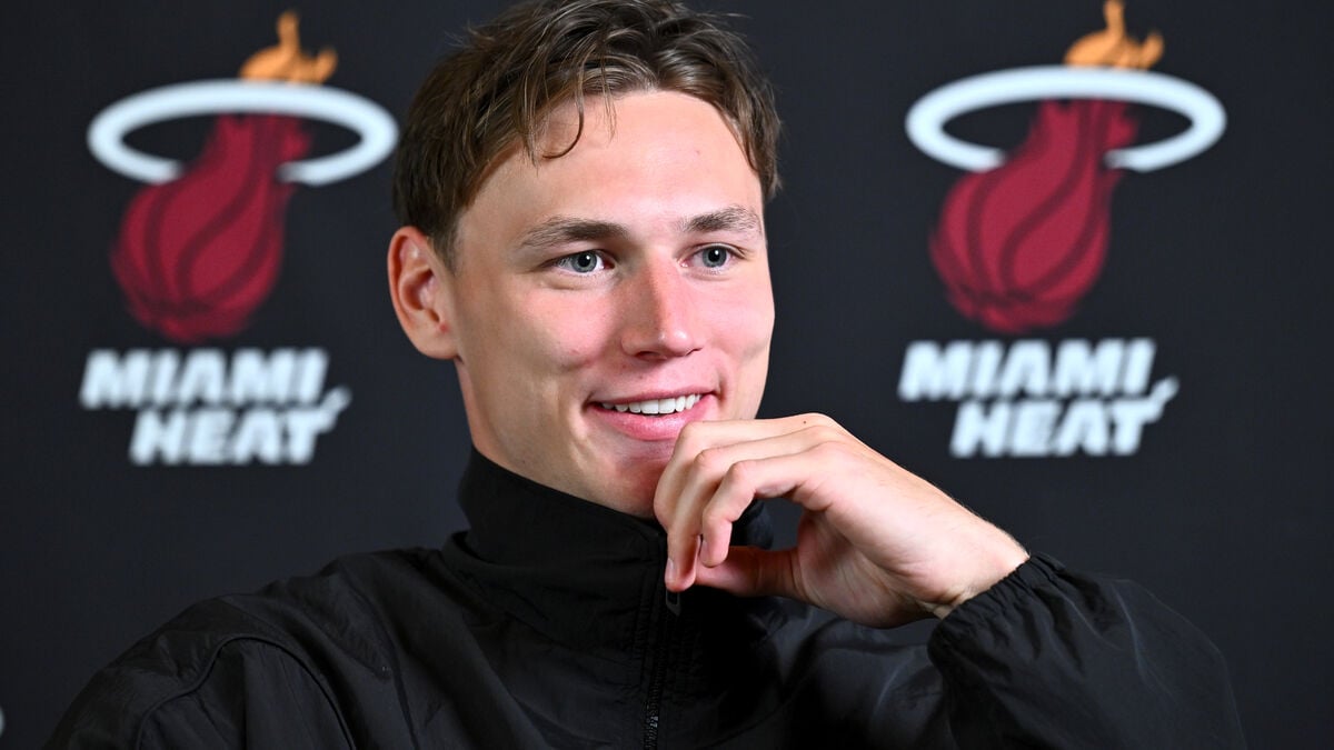 Pelle Larsson says he has been relatively cheap labor for the Miami Heat