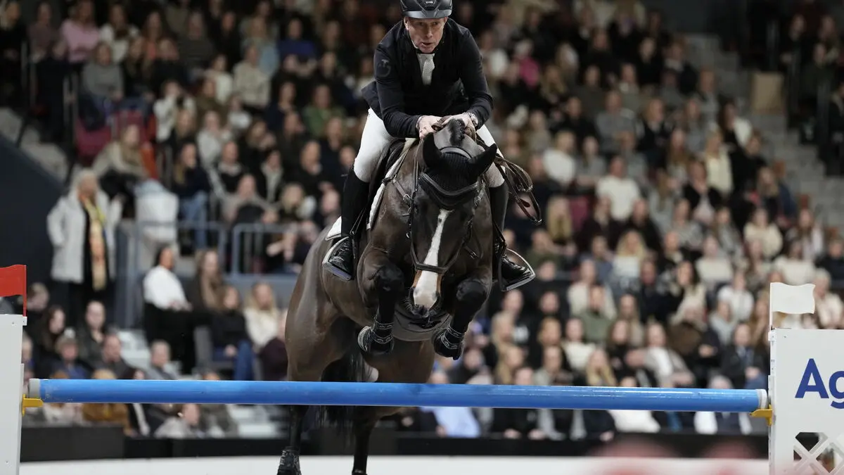 The veteran can still win - victory on a horse of the future