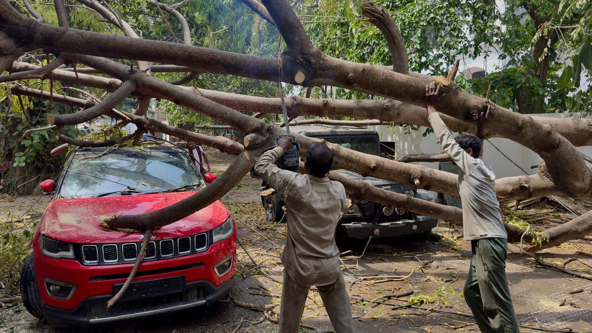 Sandstorms and thunderstorms: Nearly 100 dead in northern India
