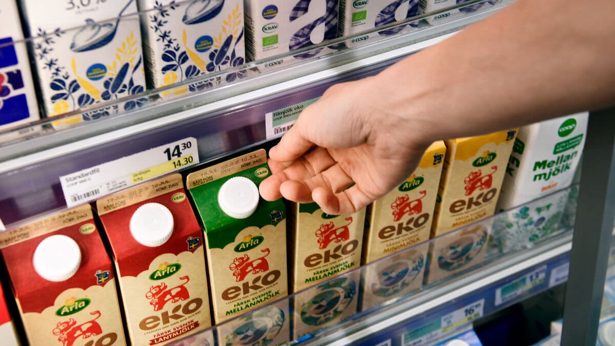 Swedish farmers warn of higher food prices as natural gas and fertilizer costs rise