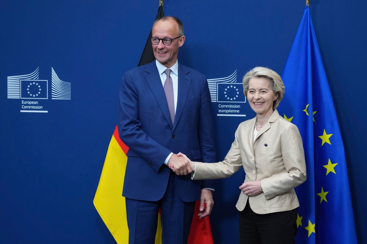 Merz Proposes Ending EU Sustainability Requirements