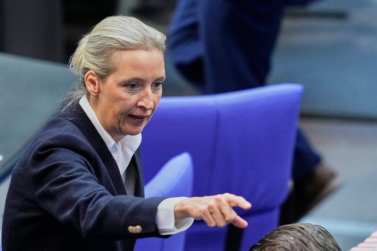 Germany Temporarily Lifts Extremist Label on AfD
