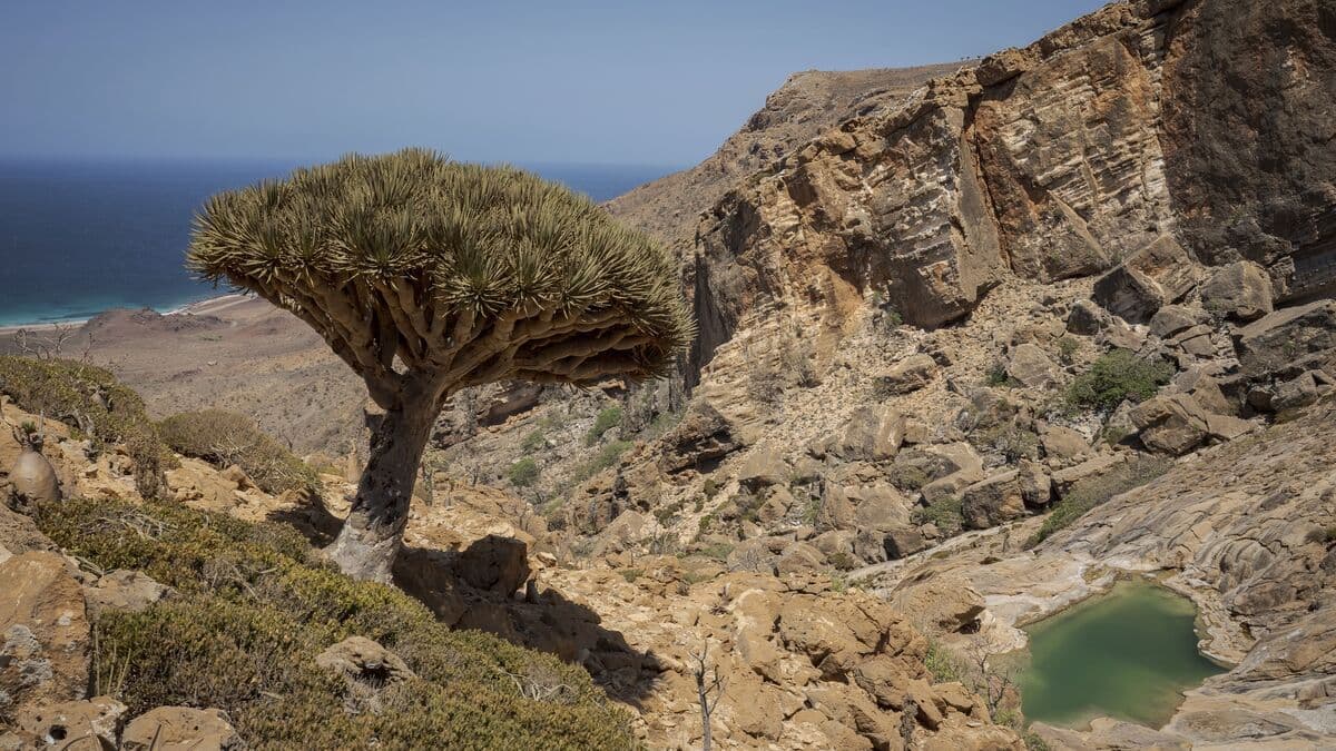 Over 400 tourists stranded on Yemen's Socotra island after flights canceled amid fighting
