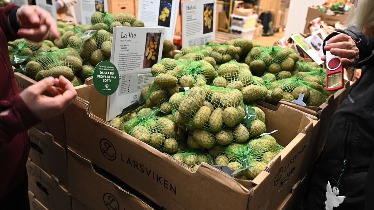 Uneasy world leaves its mark on garden trends