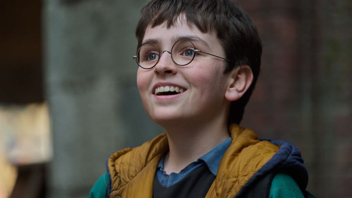 Fall’s hottest TV series: Mia Skäringer, McConaughey and Harry Potter return