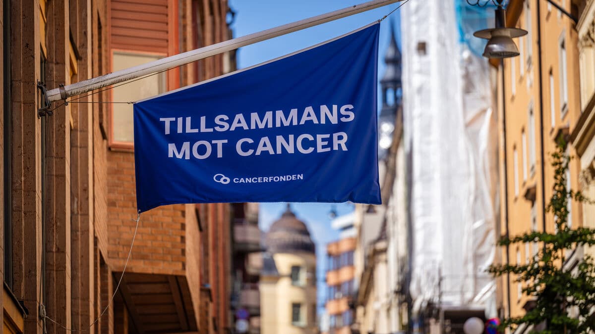 Swedes increasingly generous and decisive
