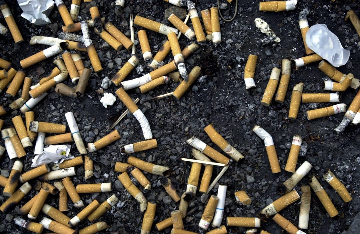 Man Sentenced for Smuggling 750,000 Illegal Cigarettes in Car