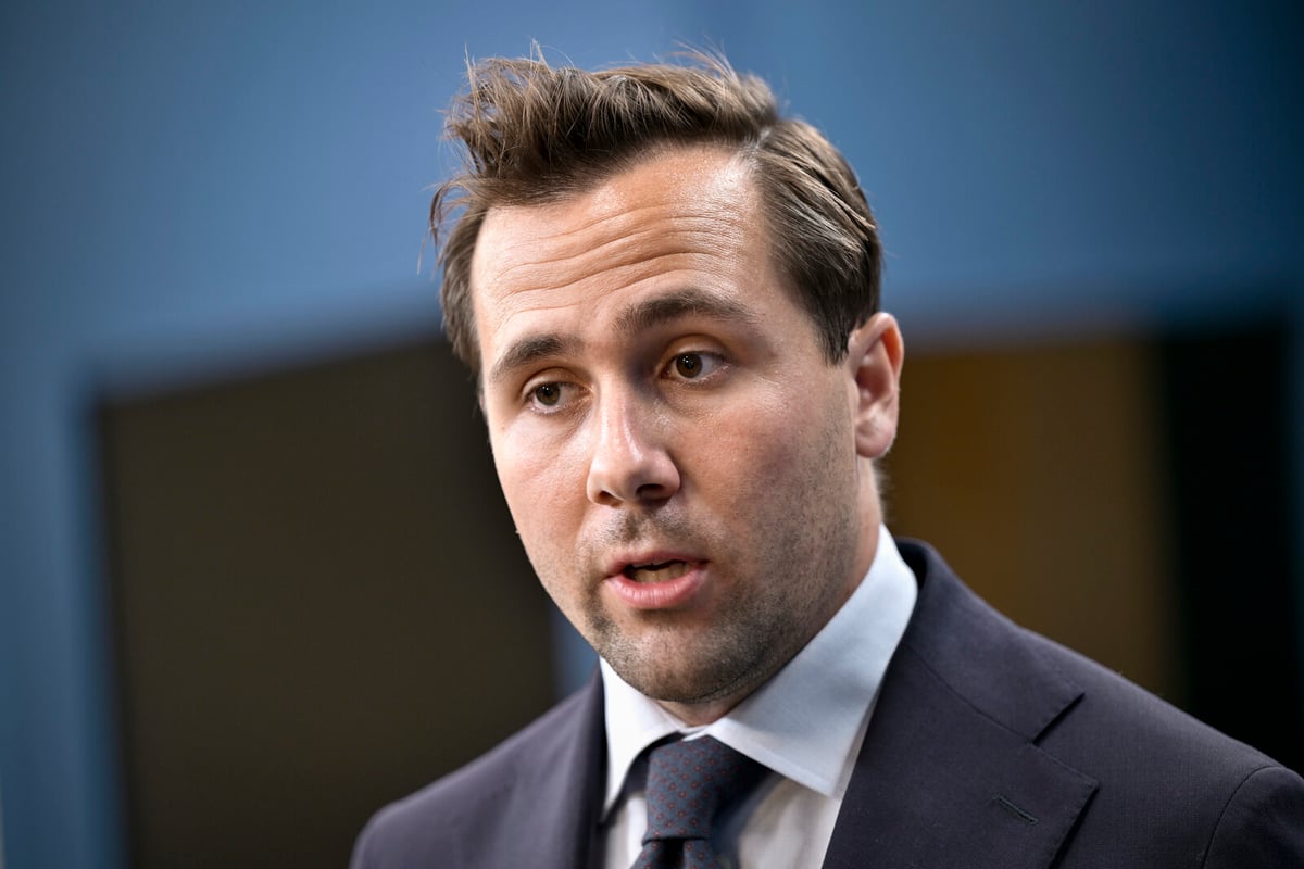 Government Seeks Social Democrats' Support to Pressure Israel