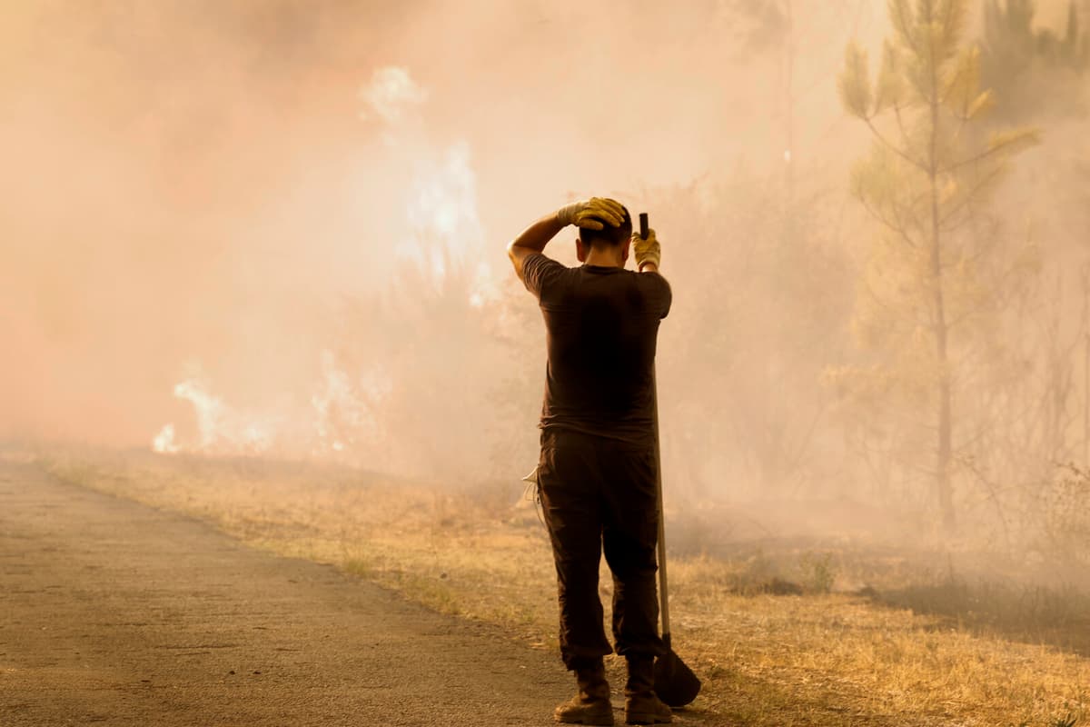 Forest Fires Devastate Southern Europe as EU Provides Support