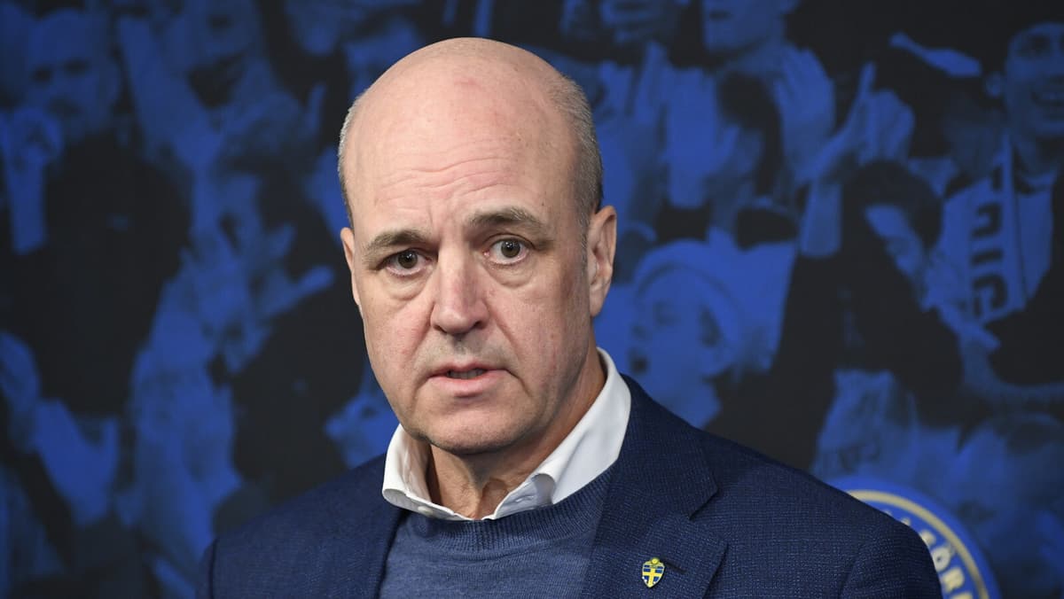 Reinfeldt Joins Paues Åberg as Advisor After Resignation