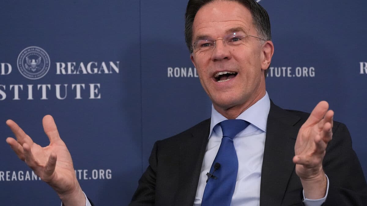 Rutte: That's why I called Trump Daddy