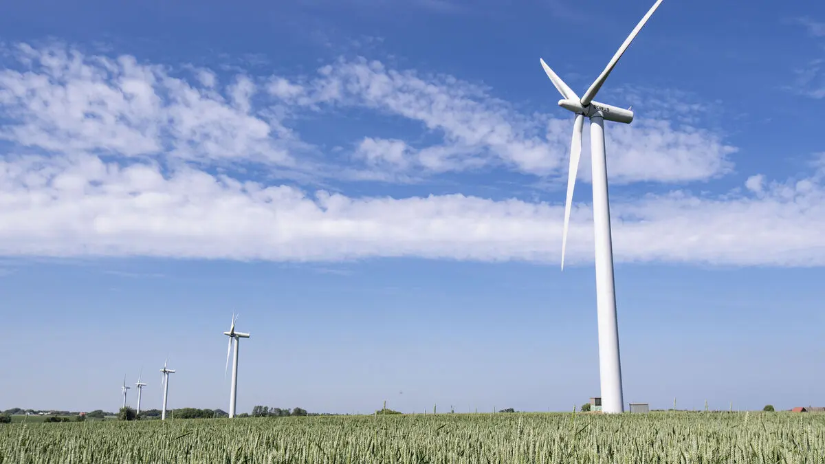 Sweden continues to lose – neighbor in the lead