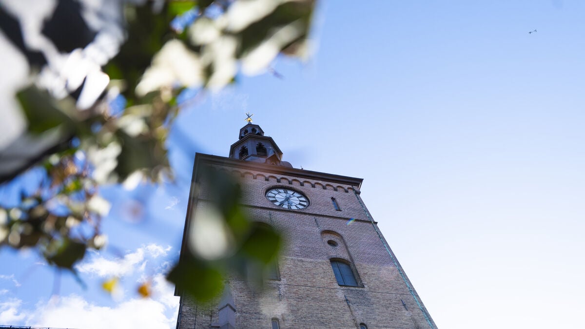 3,500 Norwegian soldiers to support King Harald’s funeral next Wednesday