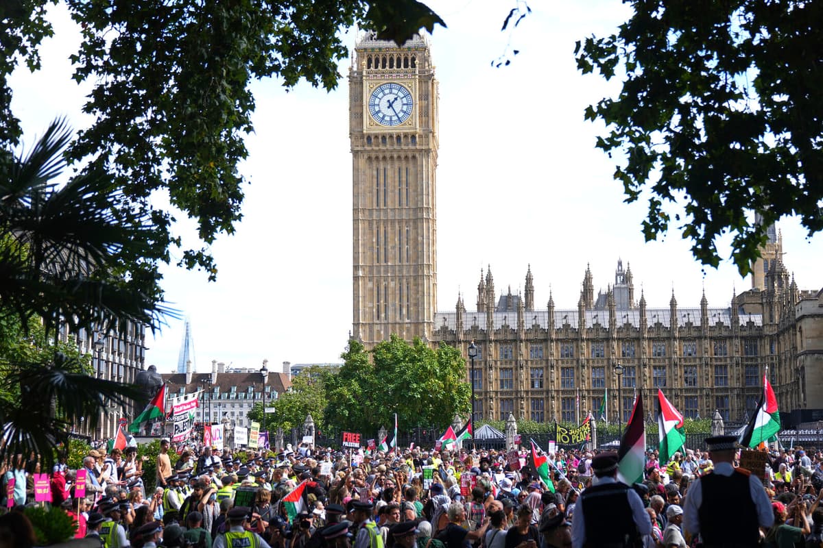 Over 425 Arrested at Pro-Palestinian Protest in London