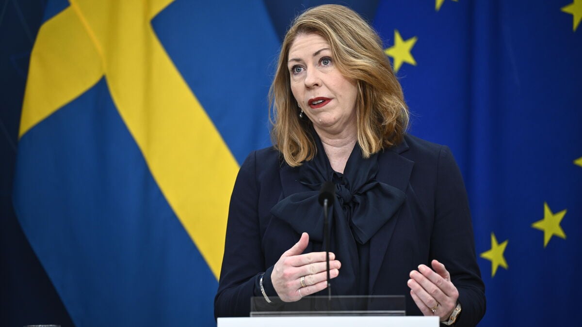 Elisabeth Lann calls for emergency meeting about high sick leave in the healthcare sector