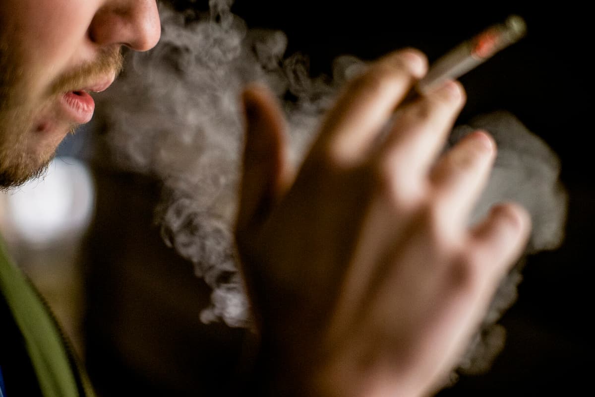 Cat Owner in Malmö Faces 740,000 Kronor Bill for Apartment Damage