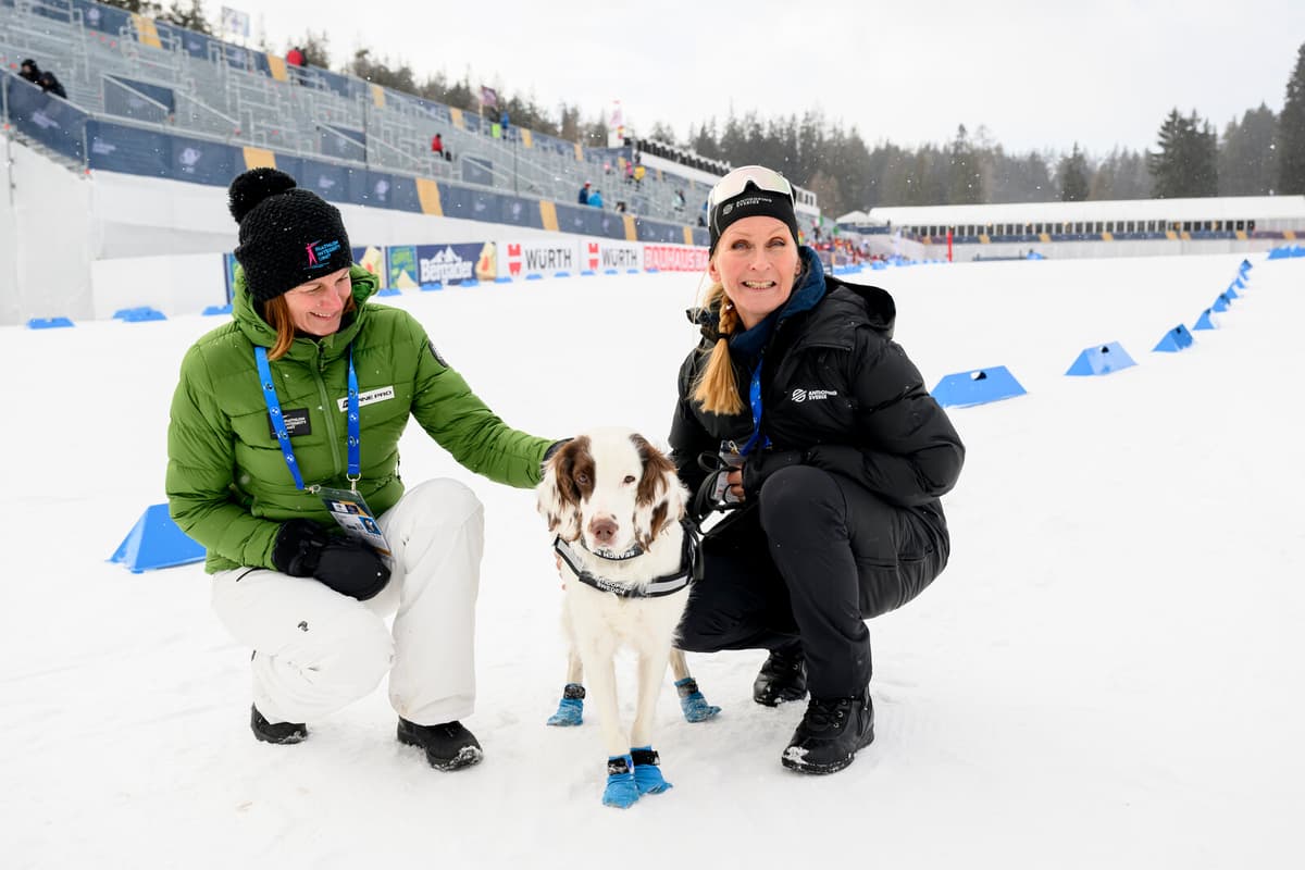 The Doping Dog's Secret: "To Make it More Difficult"
