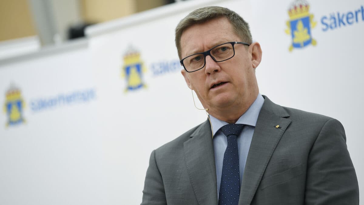 The Government Offices seek help from former Säpo chief