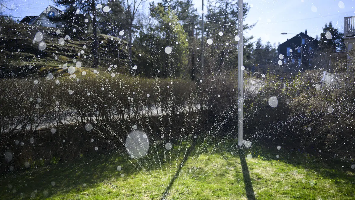 Irrigation ban on large parts of Gotland until September 1
