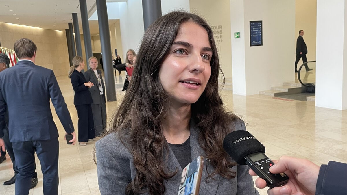 EU Faces Delays on Climate Goals Before Upcoming Meeting