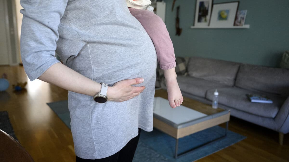 Stockholm Region turns to Denmark for sperm donations amid shortage
