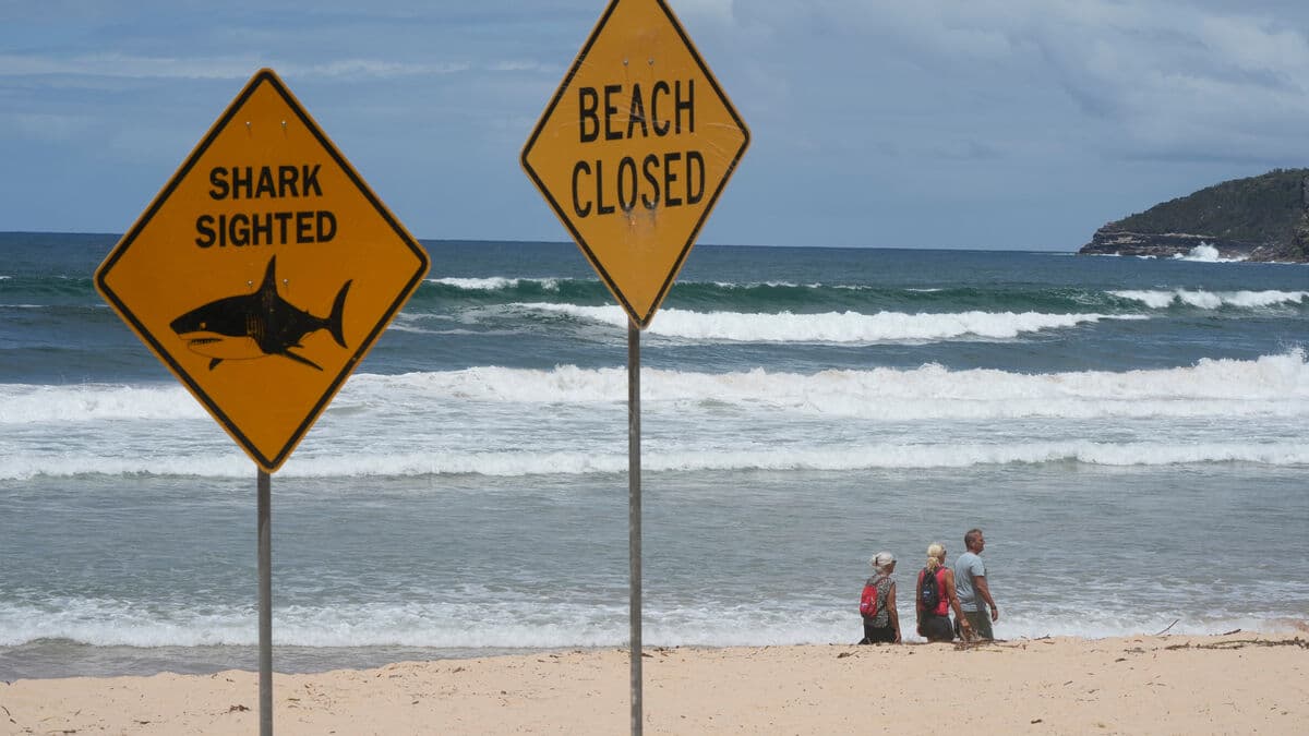 Man in his 40s dies in shark attack at Rottnest Island off Australia's west coast