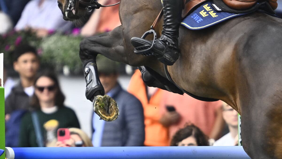 Von Eckermann delivers clear round as Fredricson loses both horseshoes at World Championships in Aachen