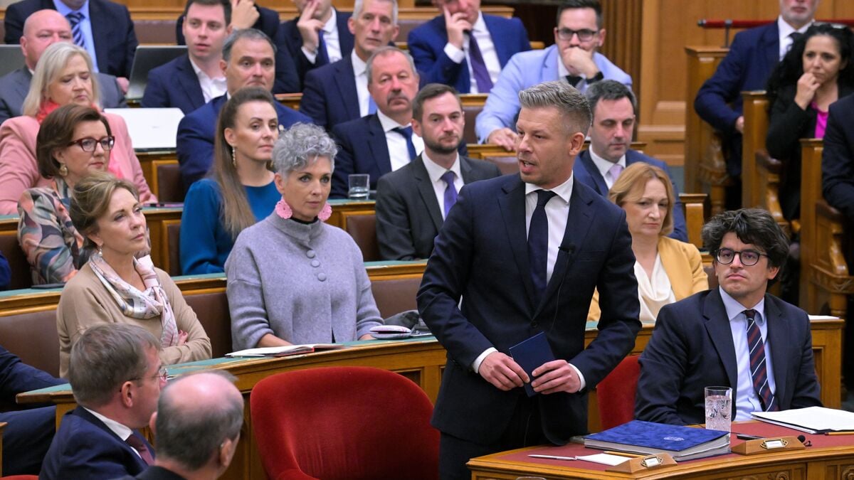 Hungary lifts immunity of two former Orbán ministers as Magyar also faces case