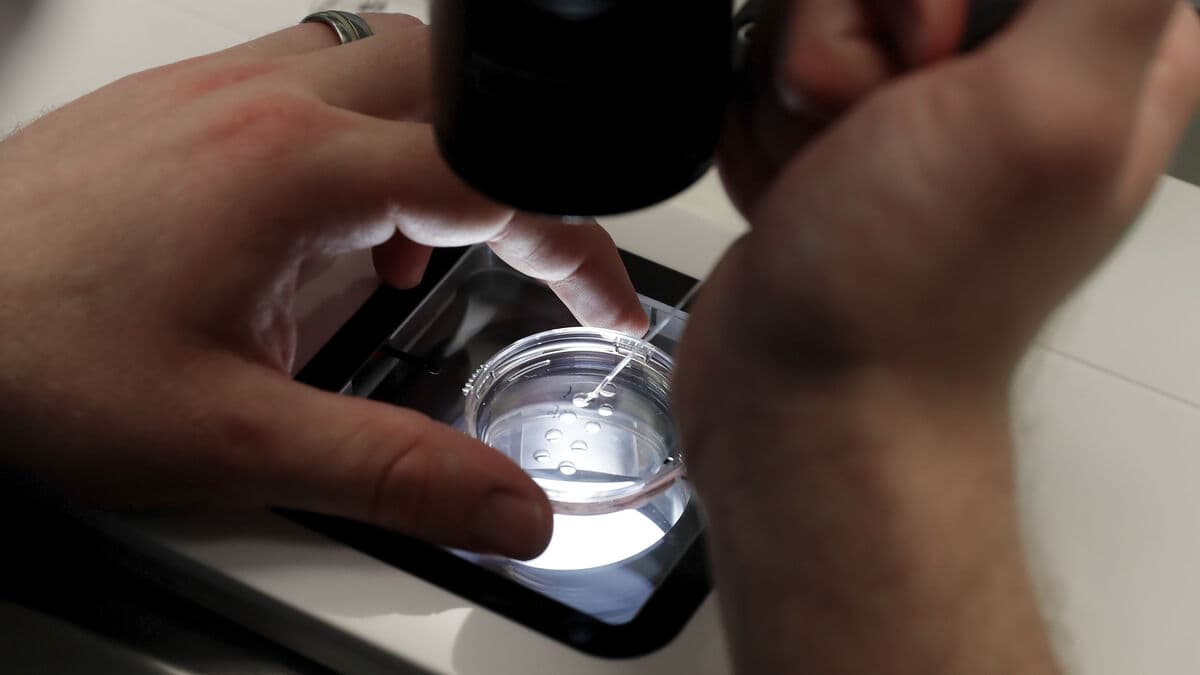 Most IVF add-ons do not improve fertility, review finds