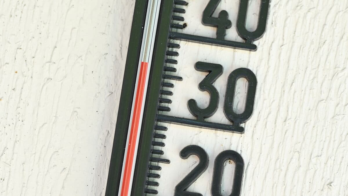 SMHI issues yellow heat warning as temperatures could top 30 degrees