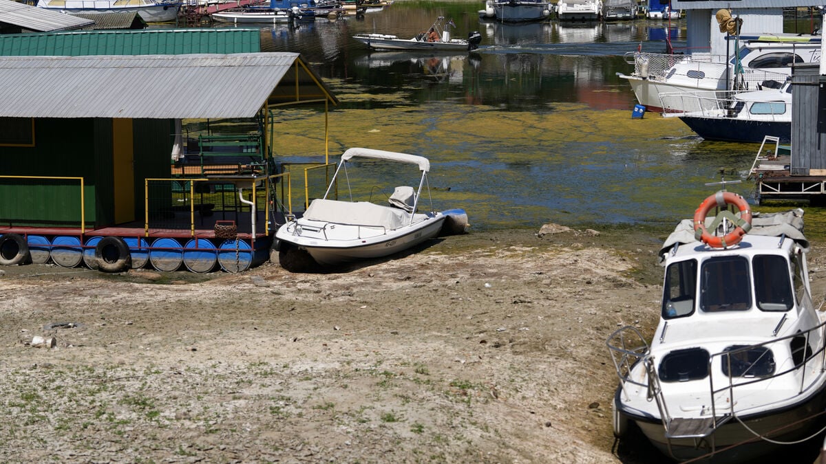 Low Danube levels force Romanian nuclear power plant shutdowns