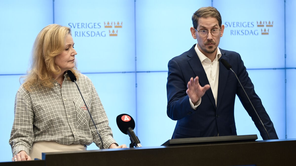 C proposes reasonable migration policy in Sweden