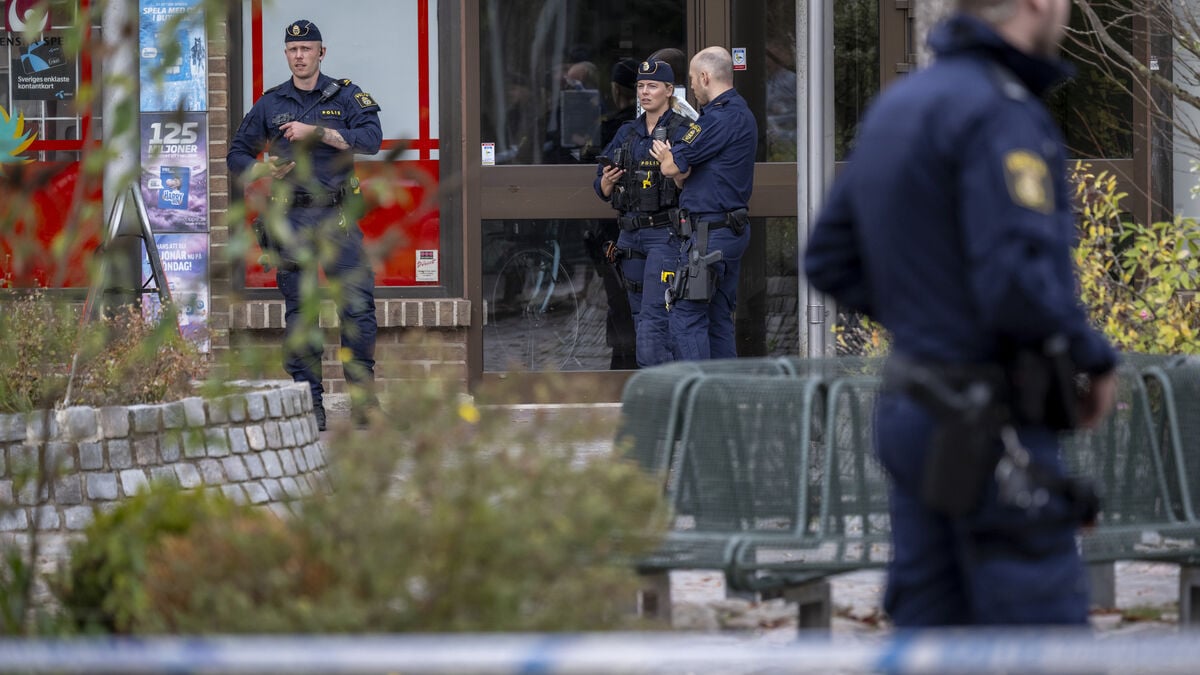 Woman reportedly stabbed in Malmö as one person is taken into custody