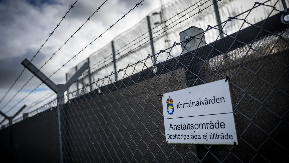 Experts: Mediation better than punishment for children