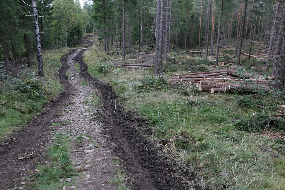 Sweden is failing to meet climate targets