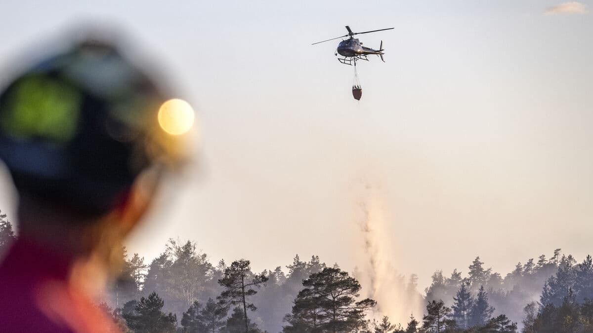 Forest fires in southern Sweden brought under control