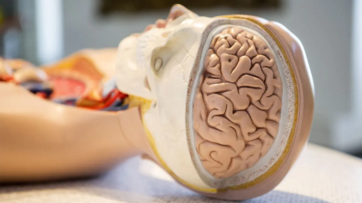 The Turnaround: New ALS Drug Tofersen Recommended