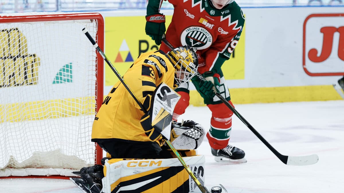 Strauss Mann makes SHL history with 10 shutouts in 2025-2026 season