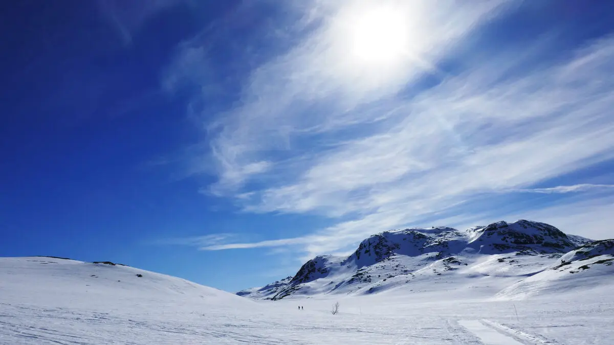 Swedish man among two killed