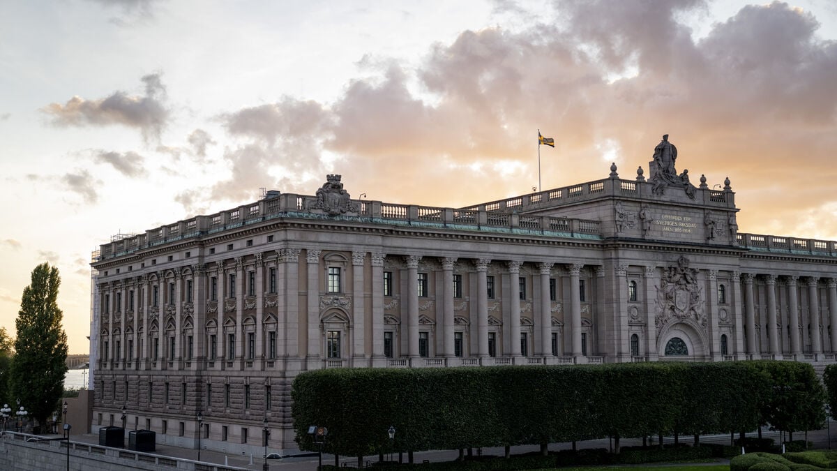 Foreign-born share in the Riksdag remains at 2010 level despite rising electorate, SR Ekot reports