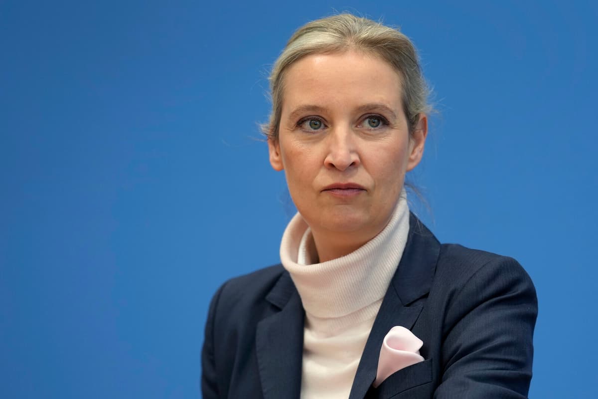 AFD Challenges Extremist Label in German Court