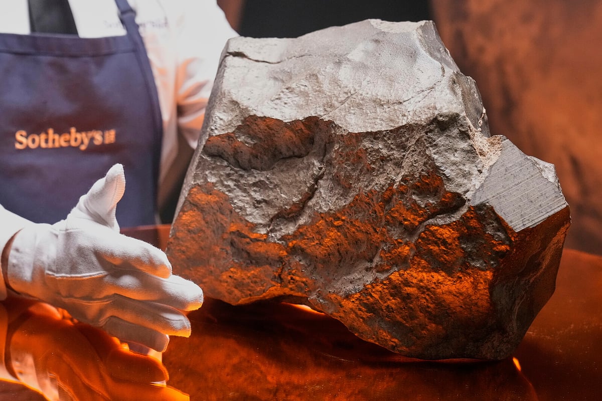 Mars Meteorite Sells for 51 Million Kronor at New York Auction