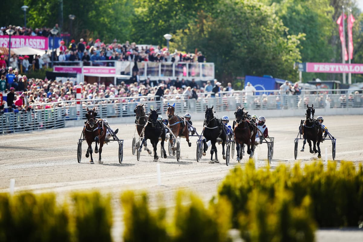 ATG Replaces V75 with New V85 Betting Format After 32 Years