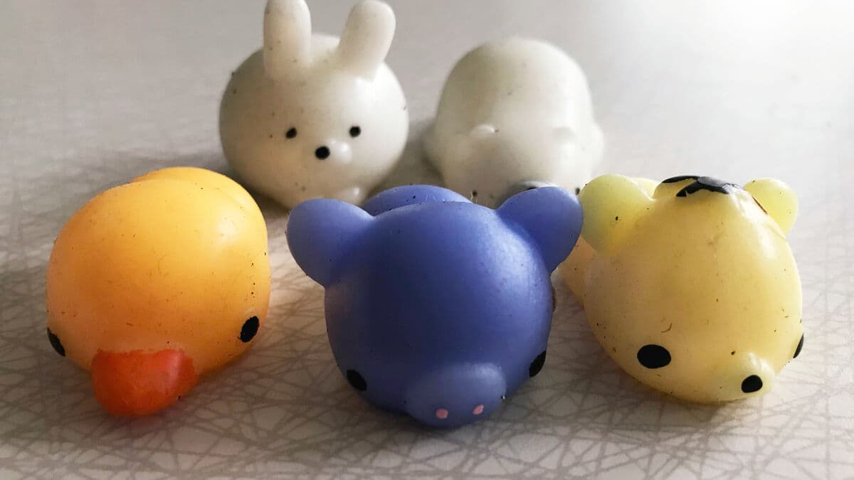 Authorities warn of injury risks with squishies