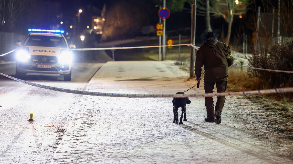 Rönninge suspect is not considered mentally disturbed, Swedish Board of Forensic Medicine says