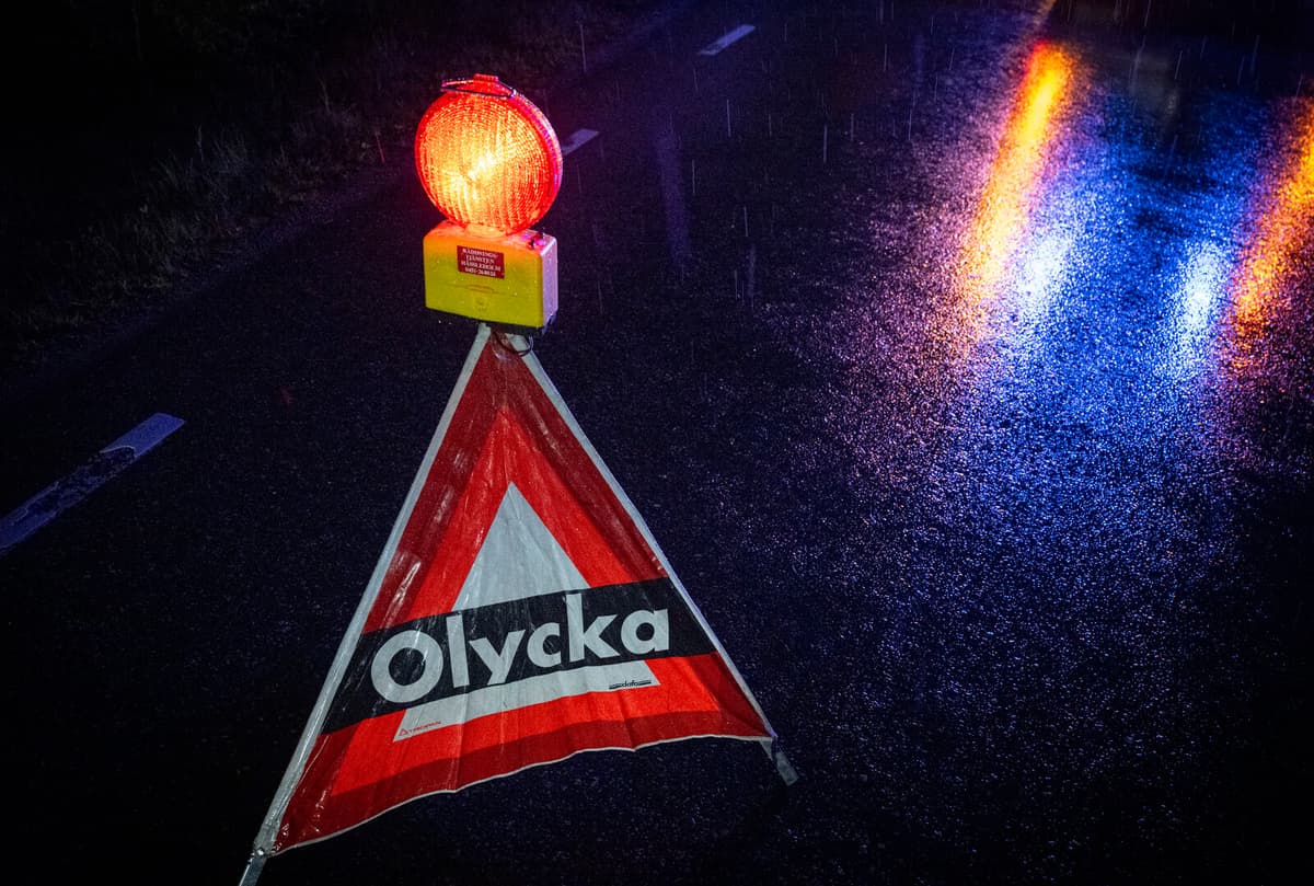 Man Dies in Elk Collision Near Överboda in Umeå