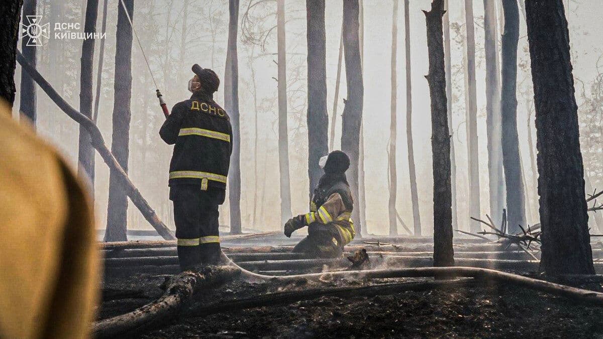 Alarm about forest fire near Chernobyl spreads quickly